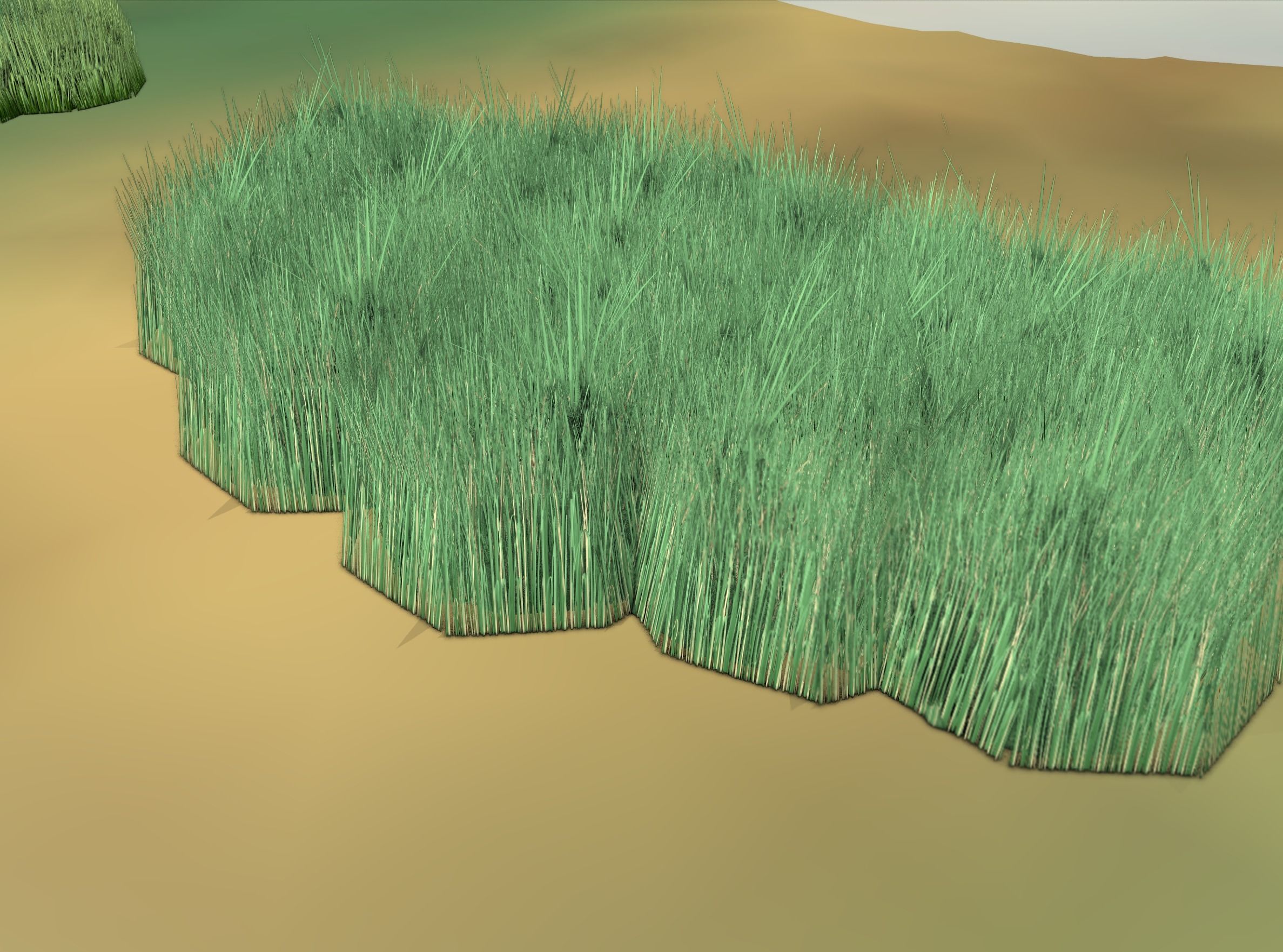 Reeds - Object 62 Low-poly 3D model_43