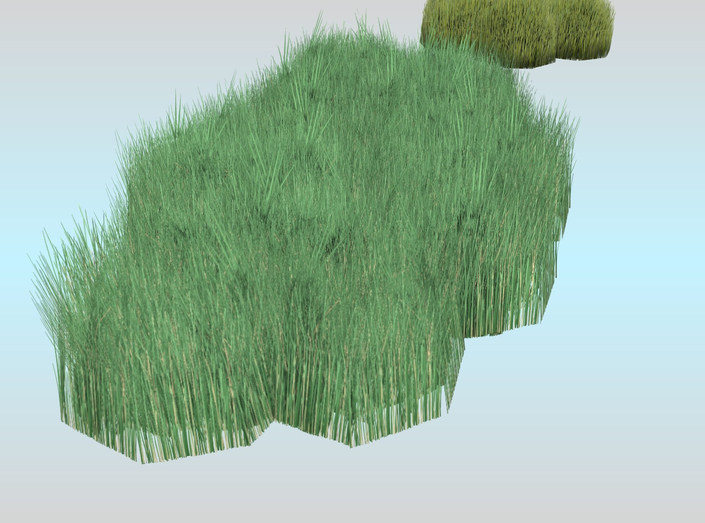 Reeds - Object 62 Low-poly 3D model_28