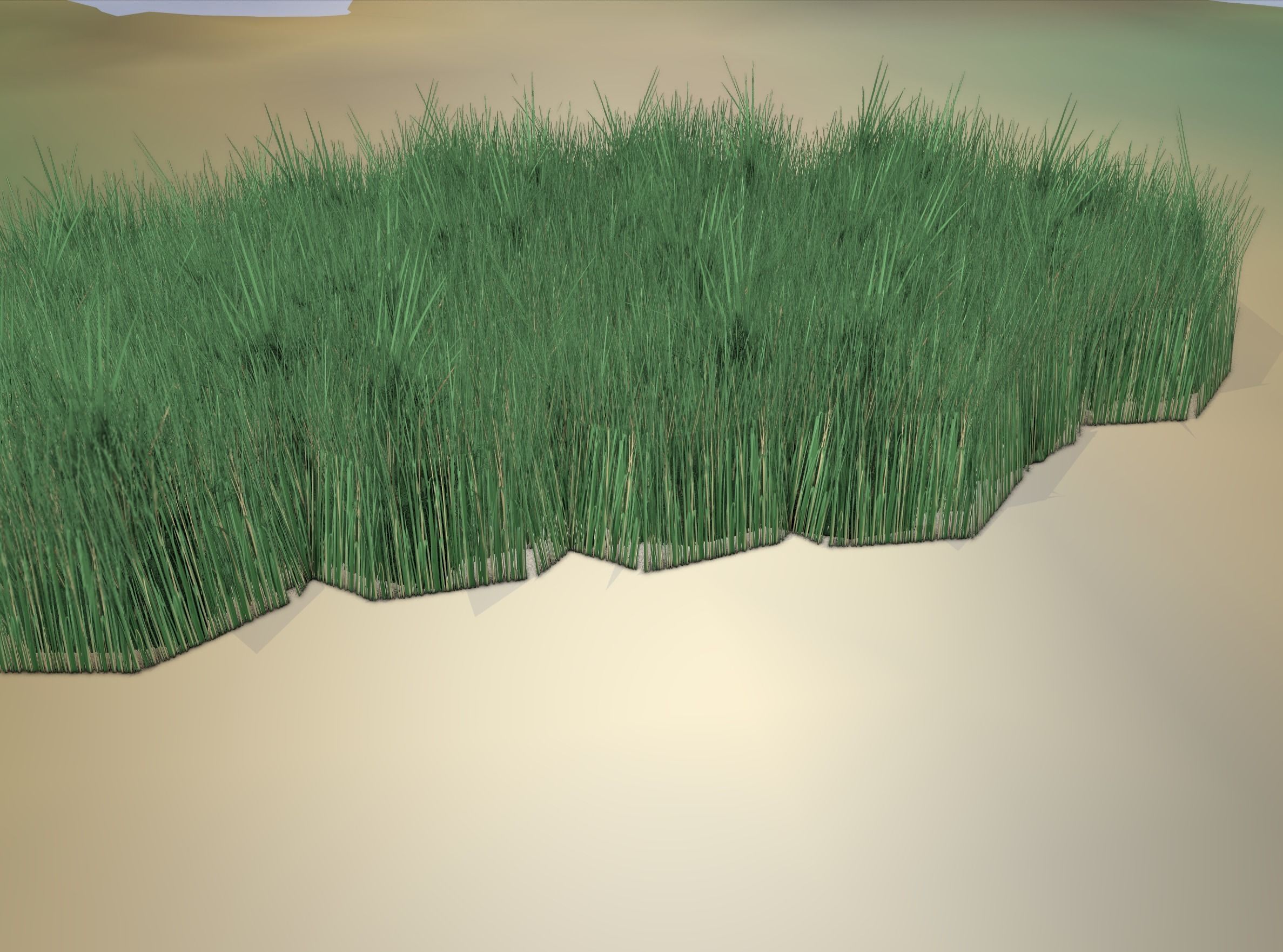 Reeds - Object 62 Low-poly 3D model_11