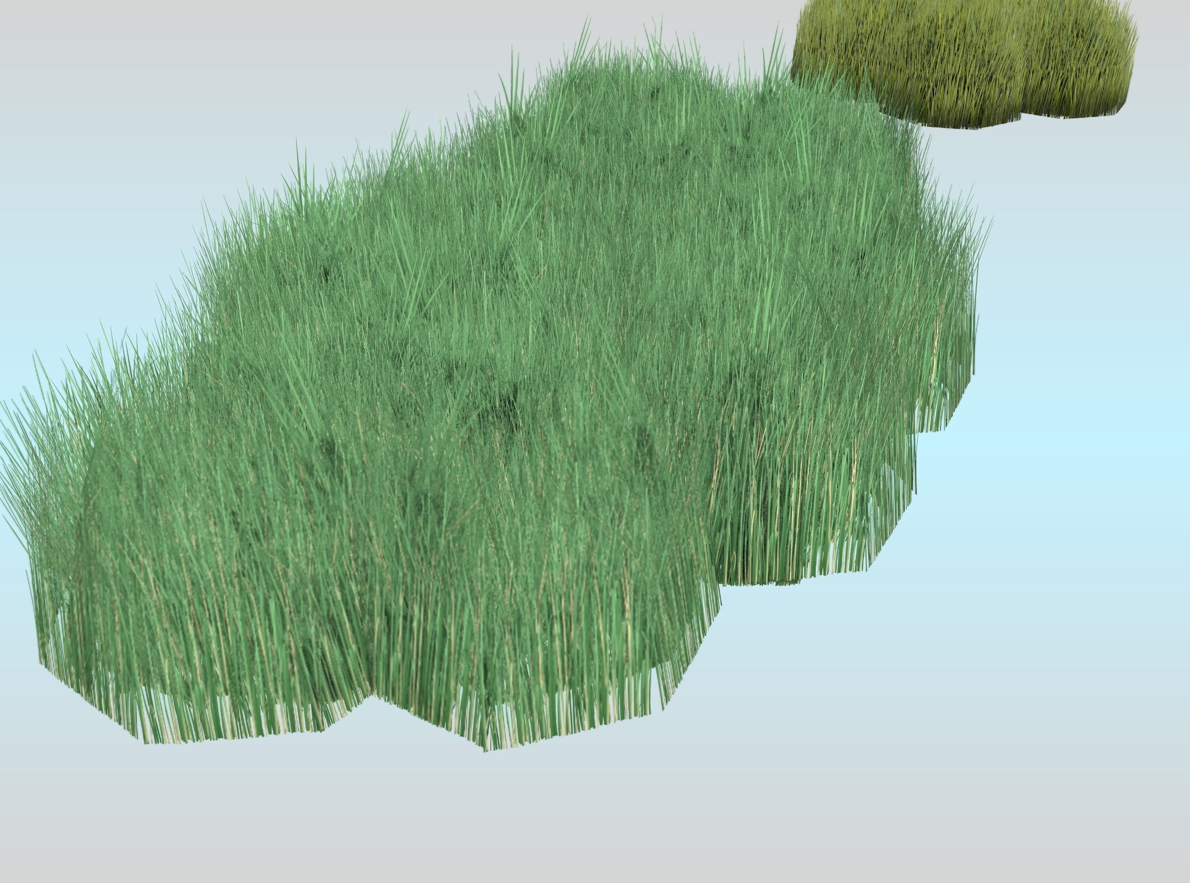 Reeds - Object 62 Low-poly 3D model_29