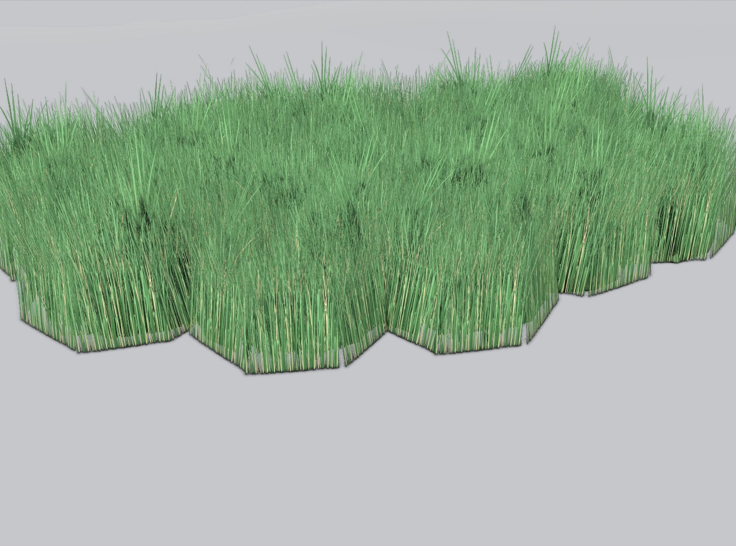 Reeds - Object 62 Low-poly 3D model_36