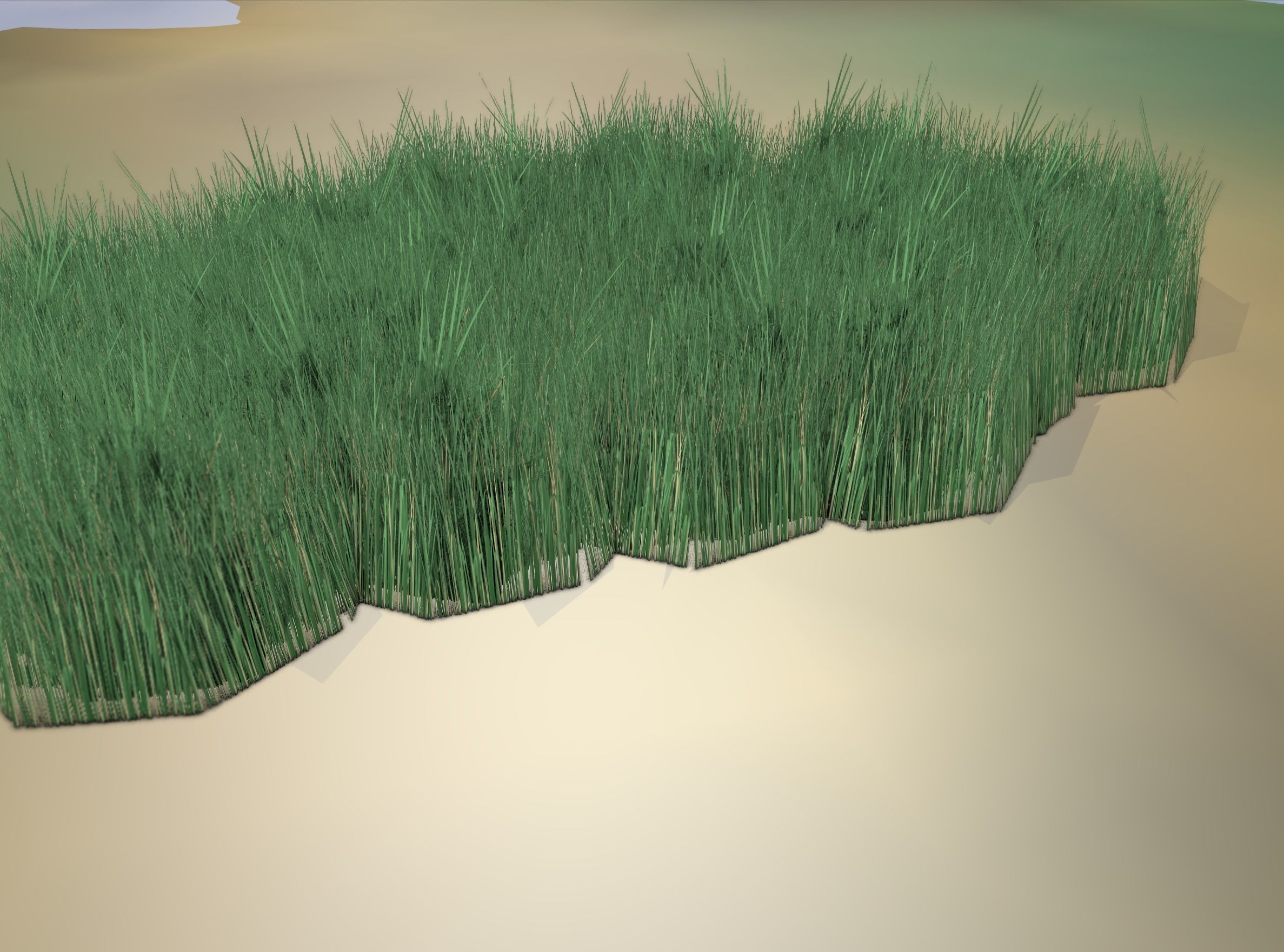 Reeds - Object 62 Low-poly 3D model_10