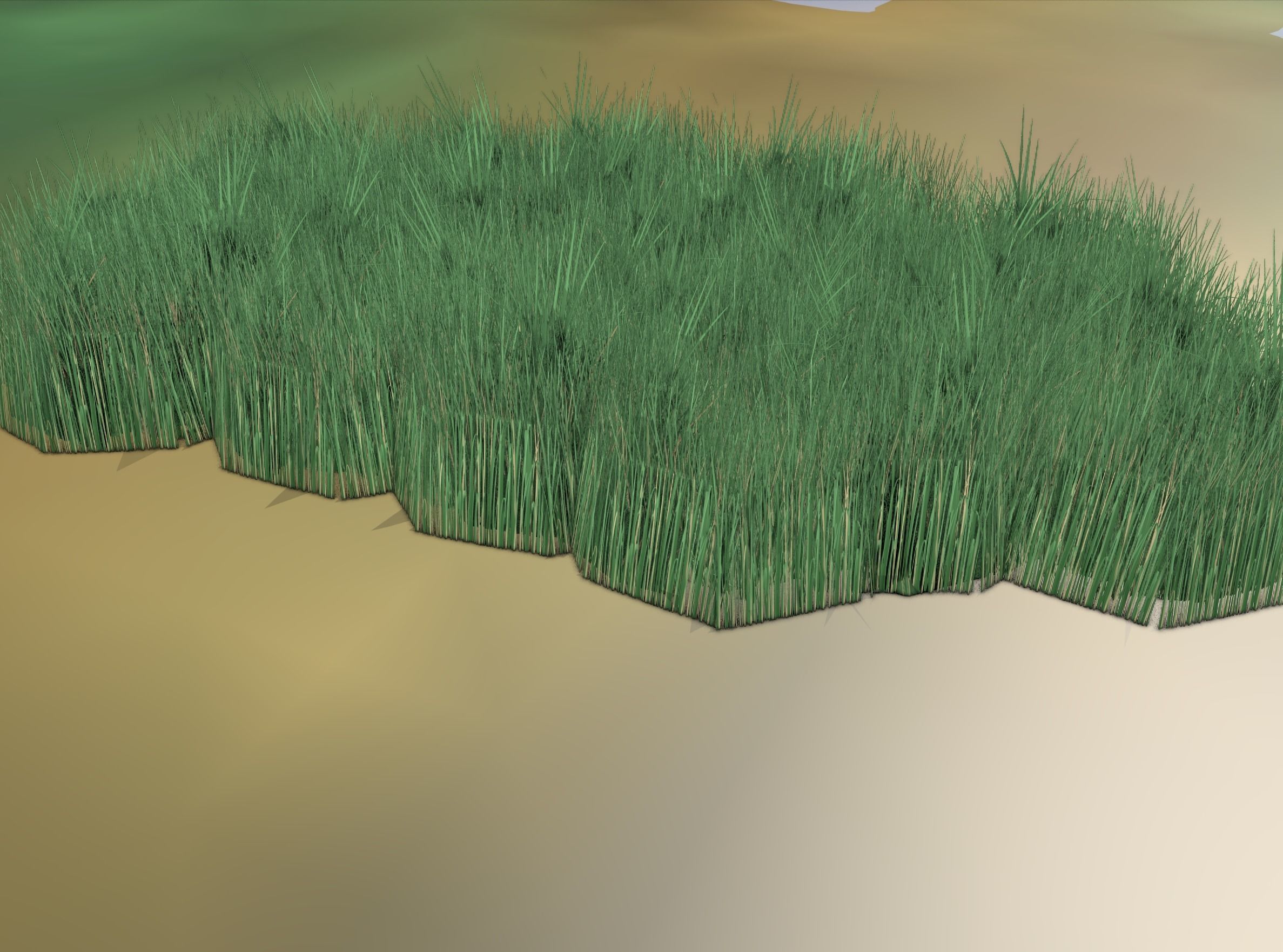 Reeds - Object 62 Low-poly 3D model_16