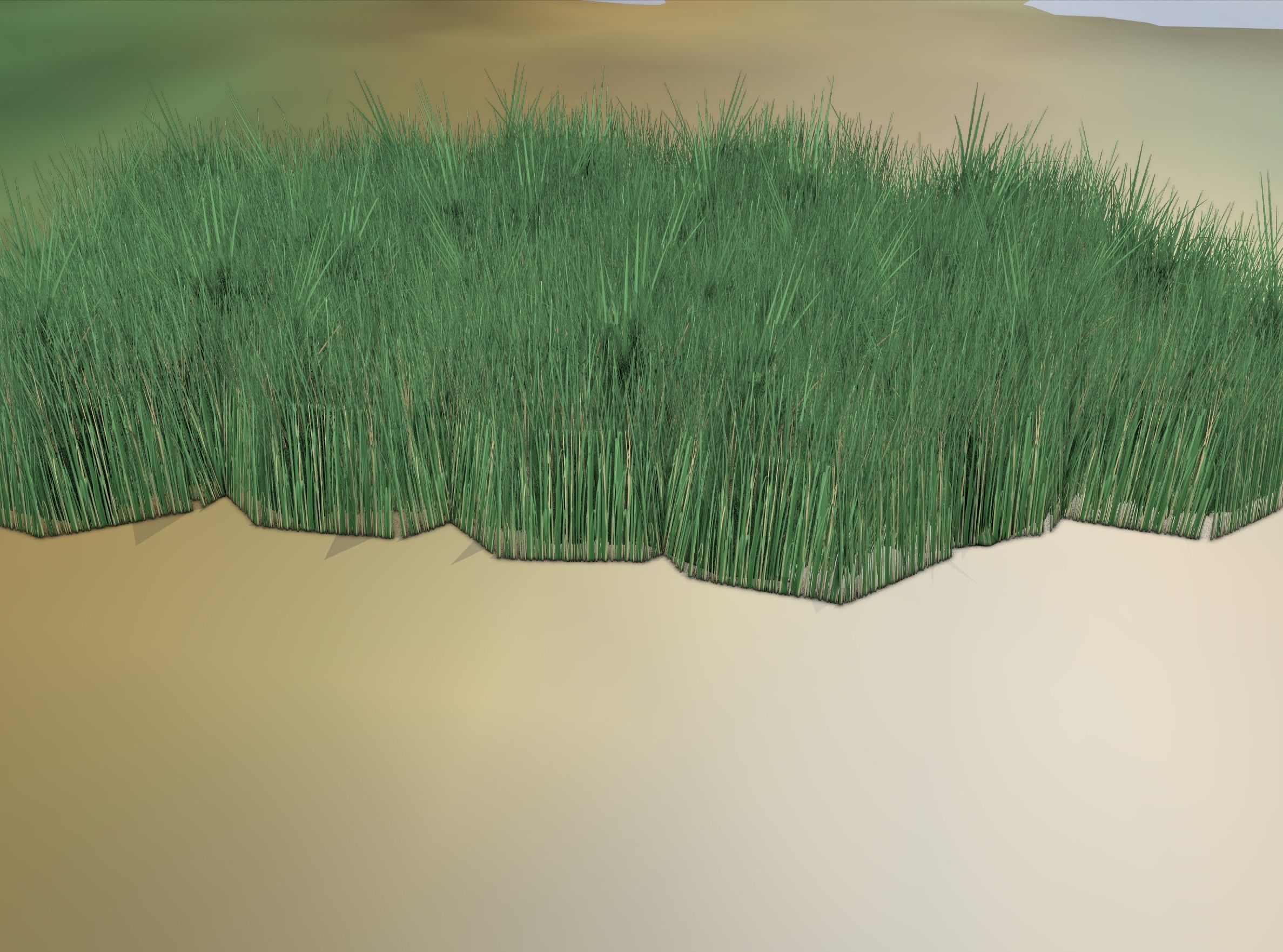 Reeds - Object 62 Low-poly 3D model_14