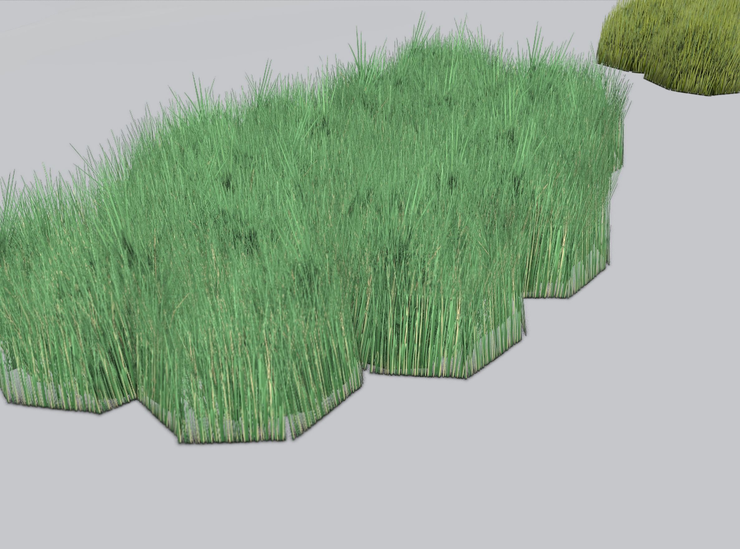 Reeds - Object 62 Low-poly 3D model_31