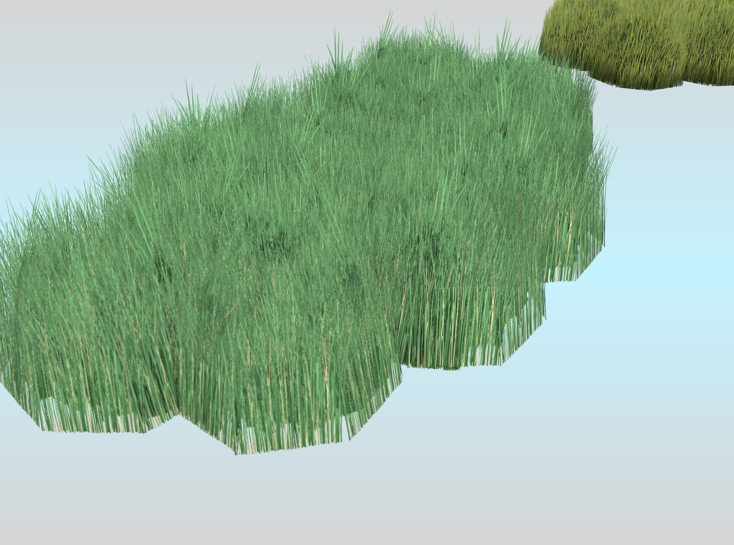 Reeds - Object 62 Low-poly 3D model_30