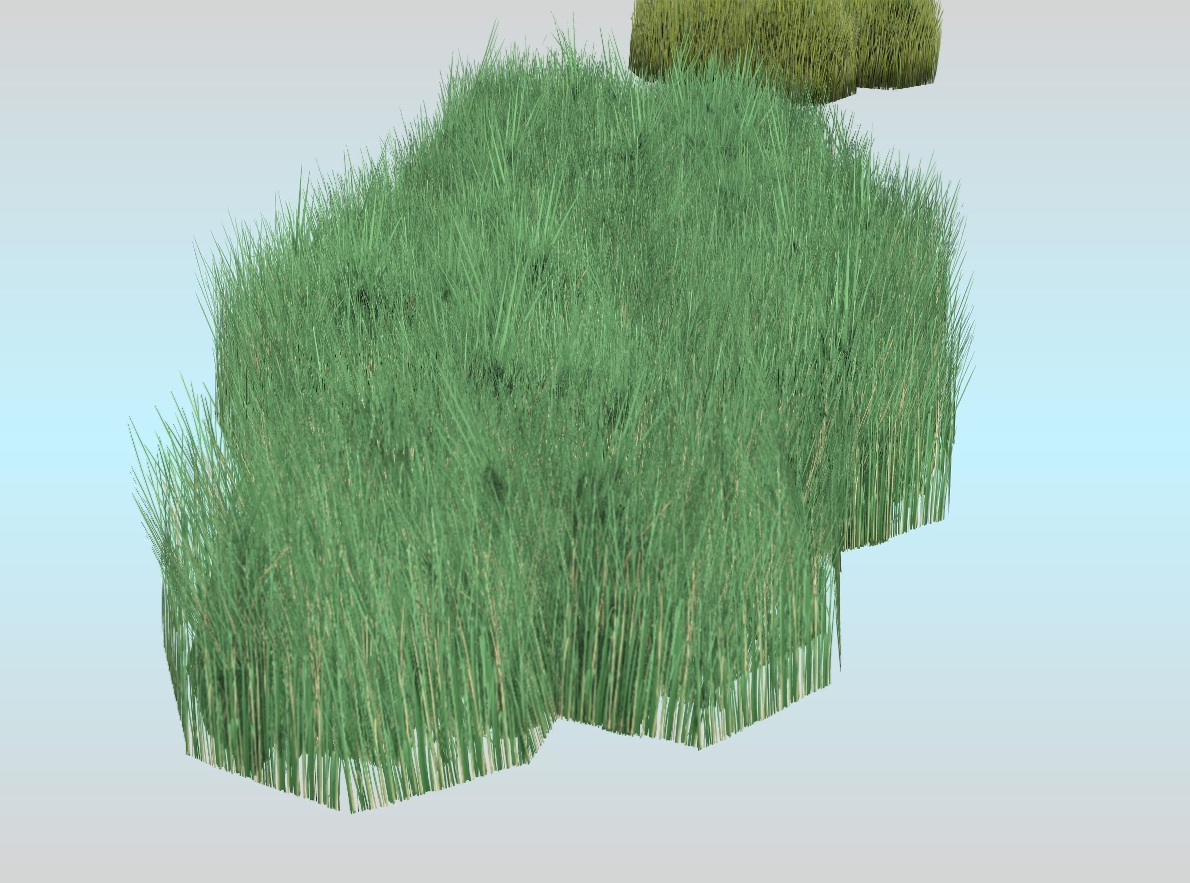 Reeds - Object 62 Low-poly 3D model_27