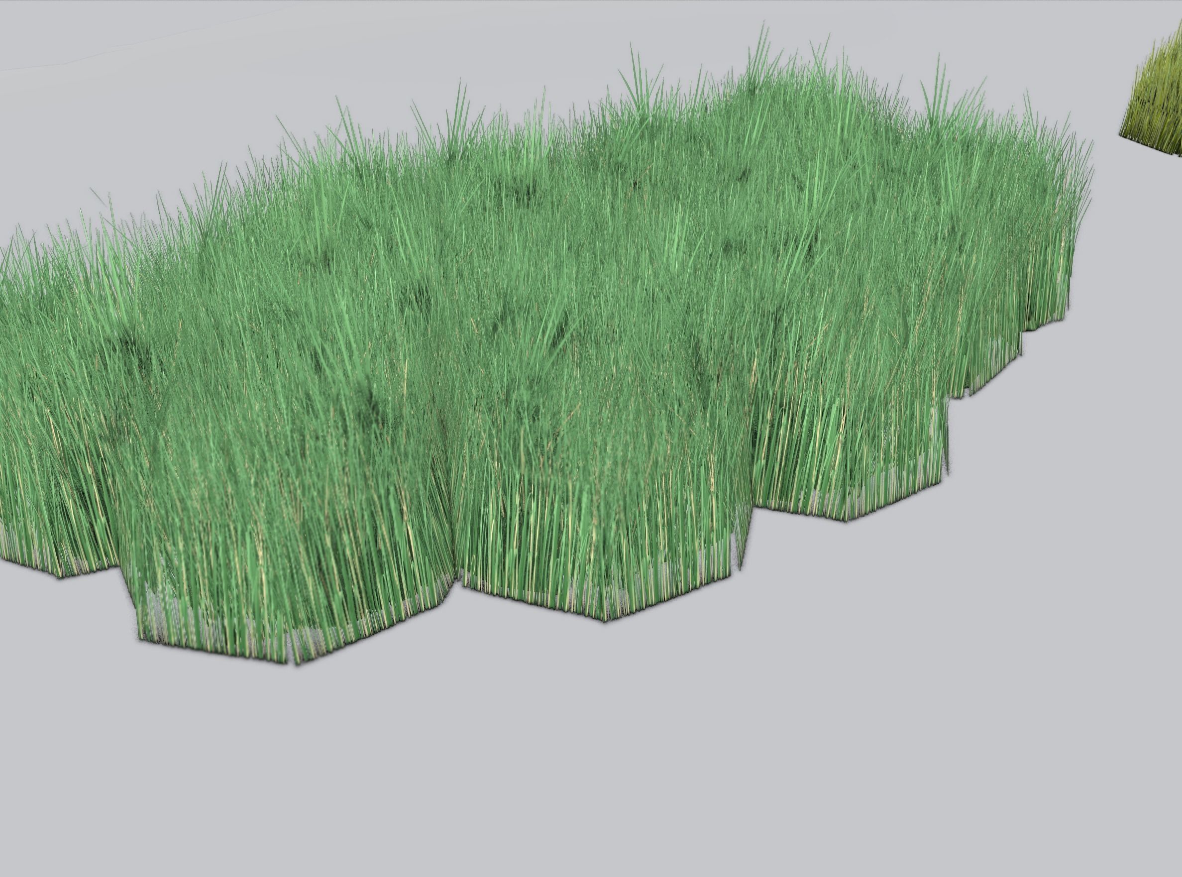 Reeds - Object 62 Low-poly 3D model_33