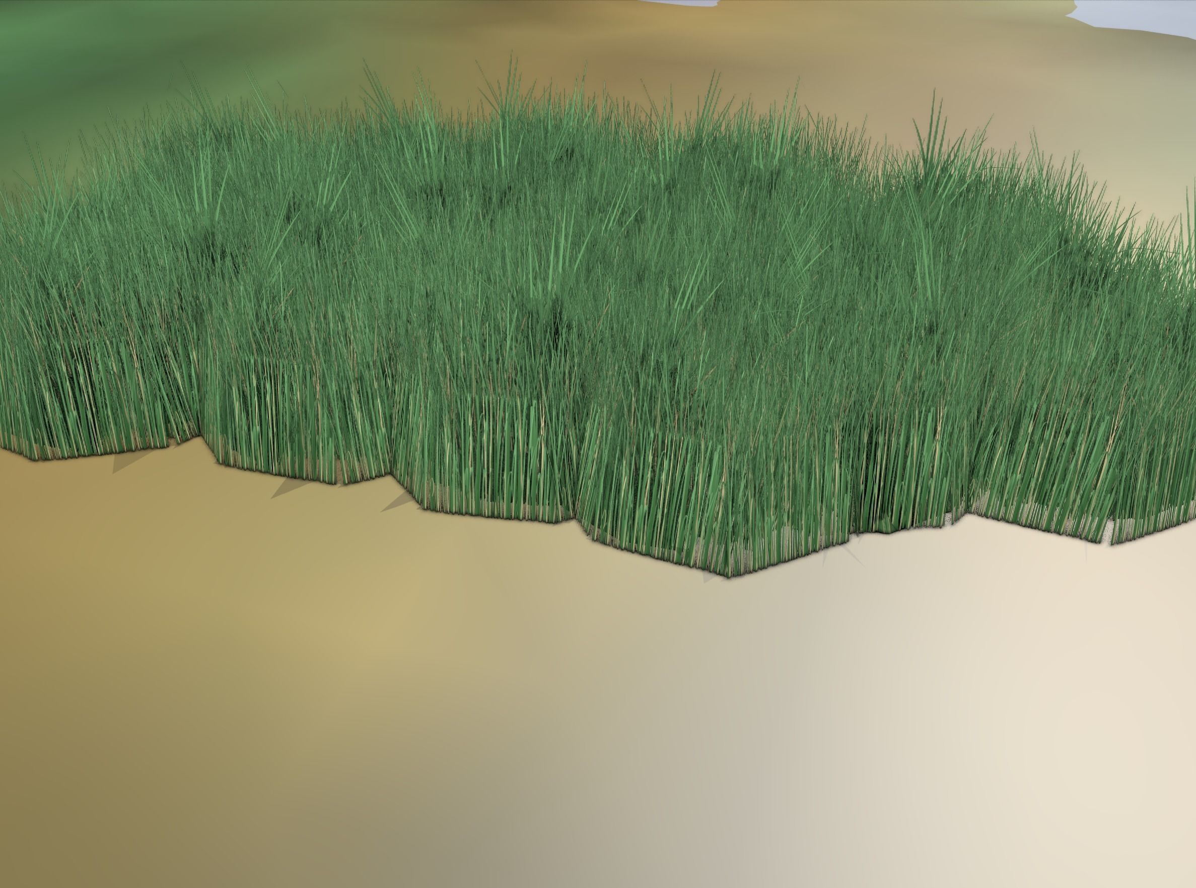 Reeds - Object 62 Low-poly 3D model_15