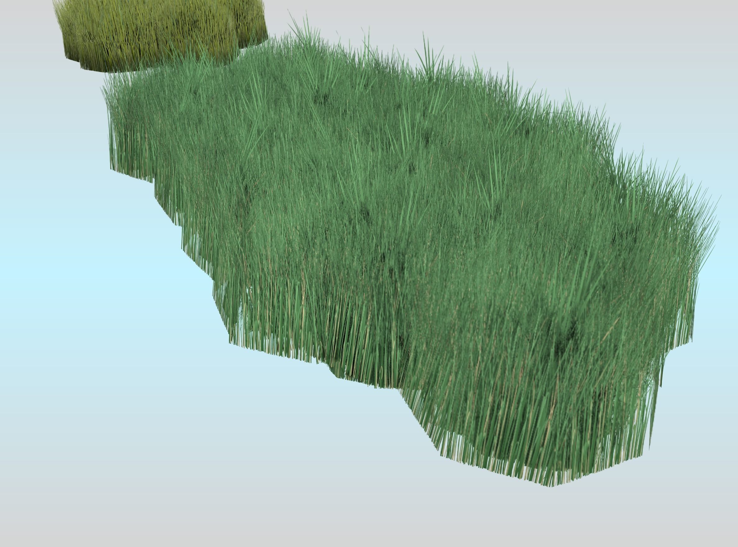 Reeds - Object 62 Low-poly 3D model_21