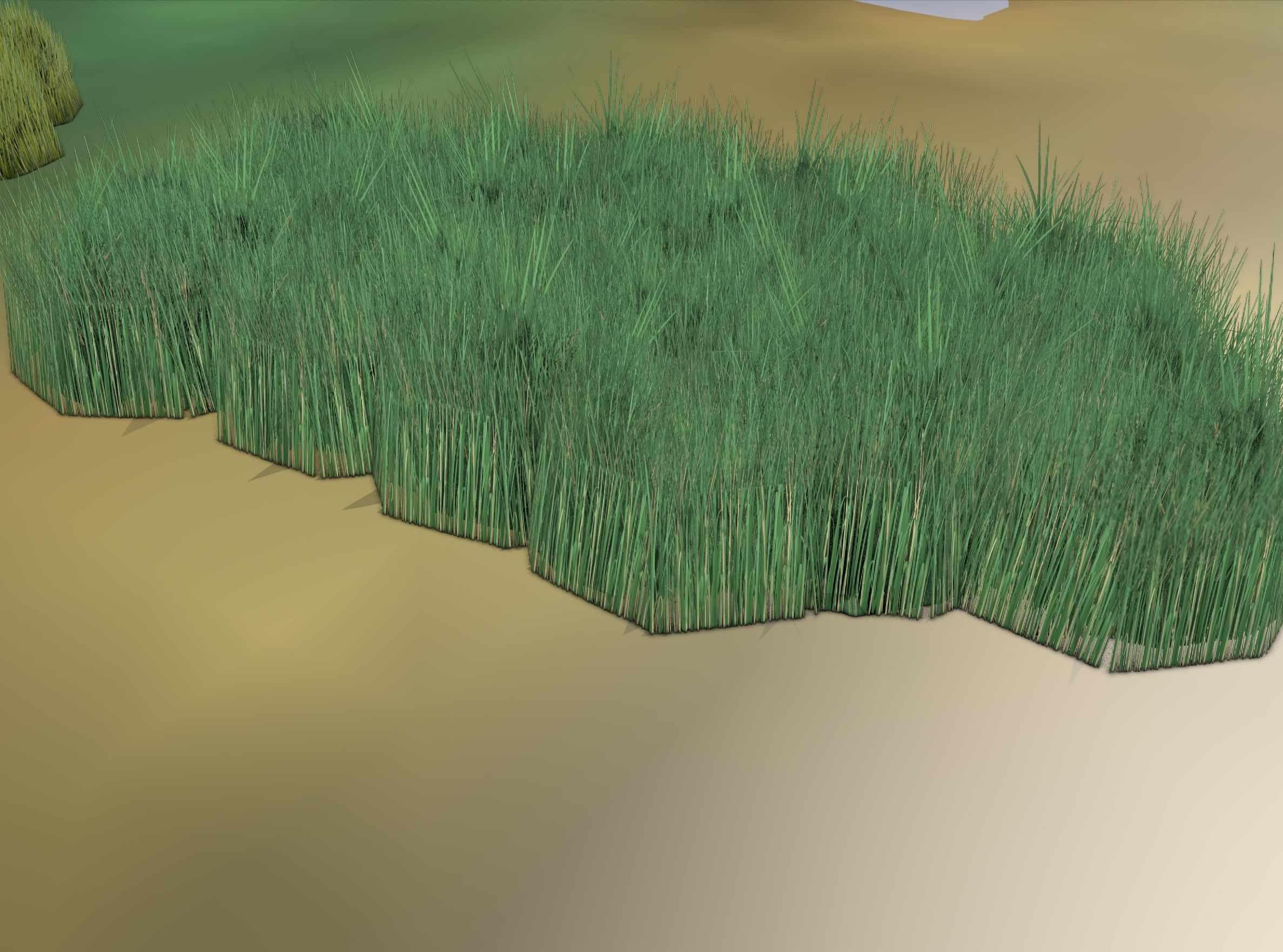 Reeds - Object 62 Low-poly 3D model_17