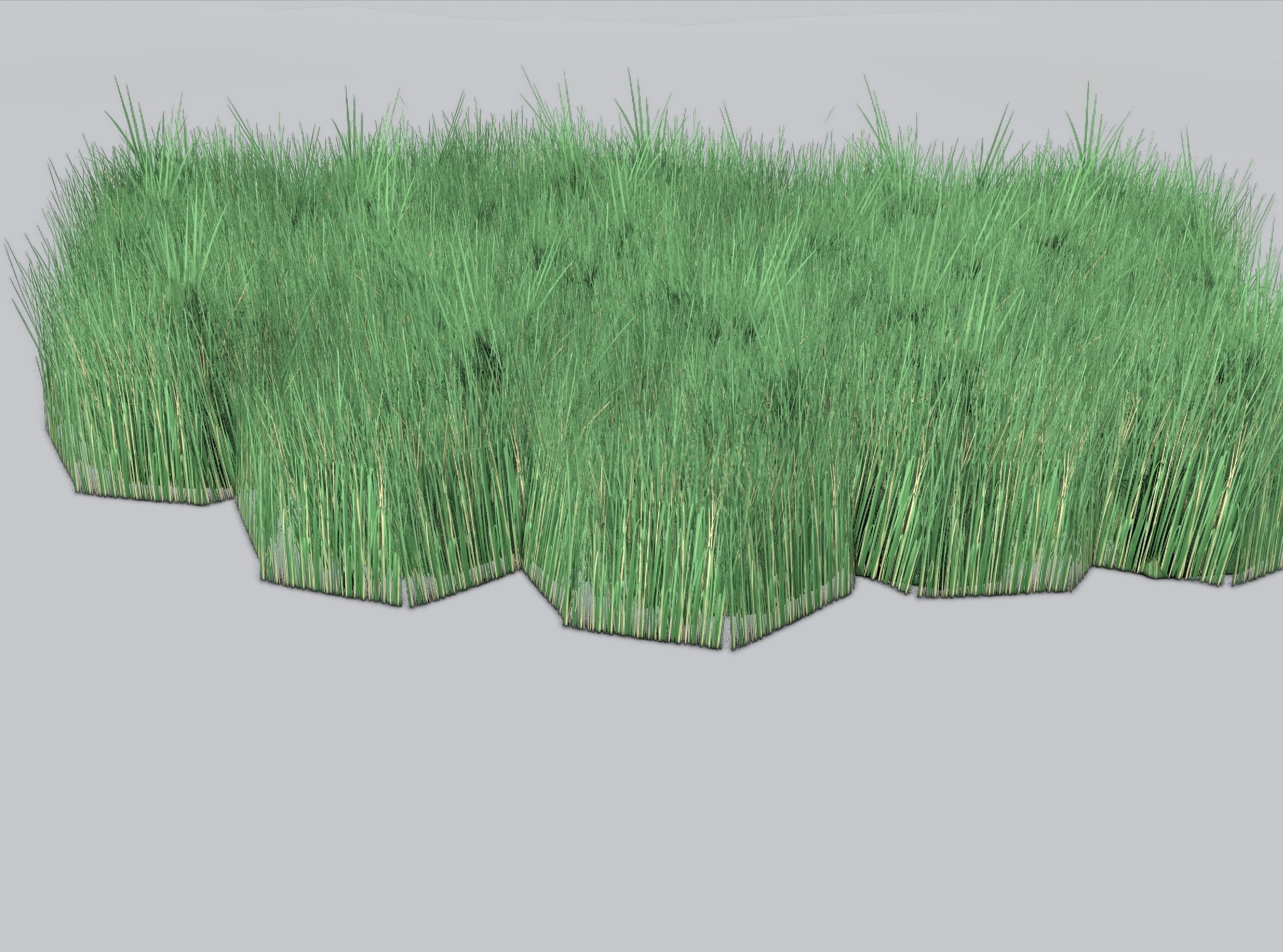 Reeds - Object 62 Low-poly 3D model_39