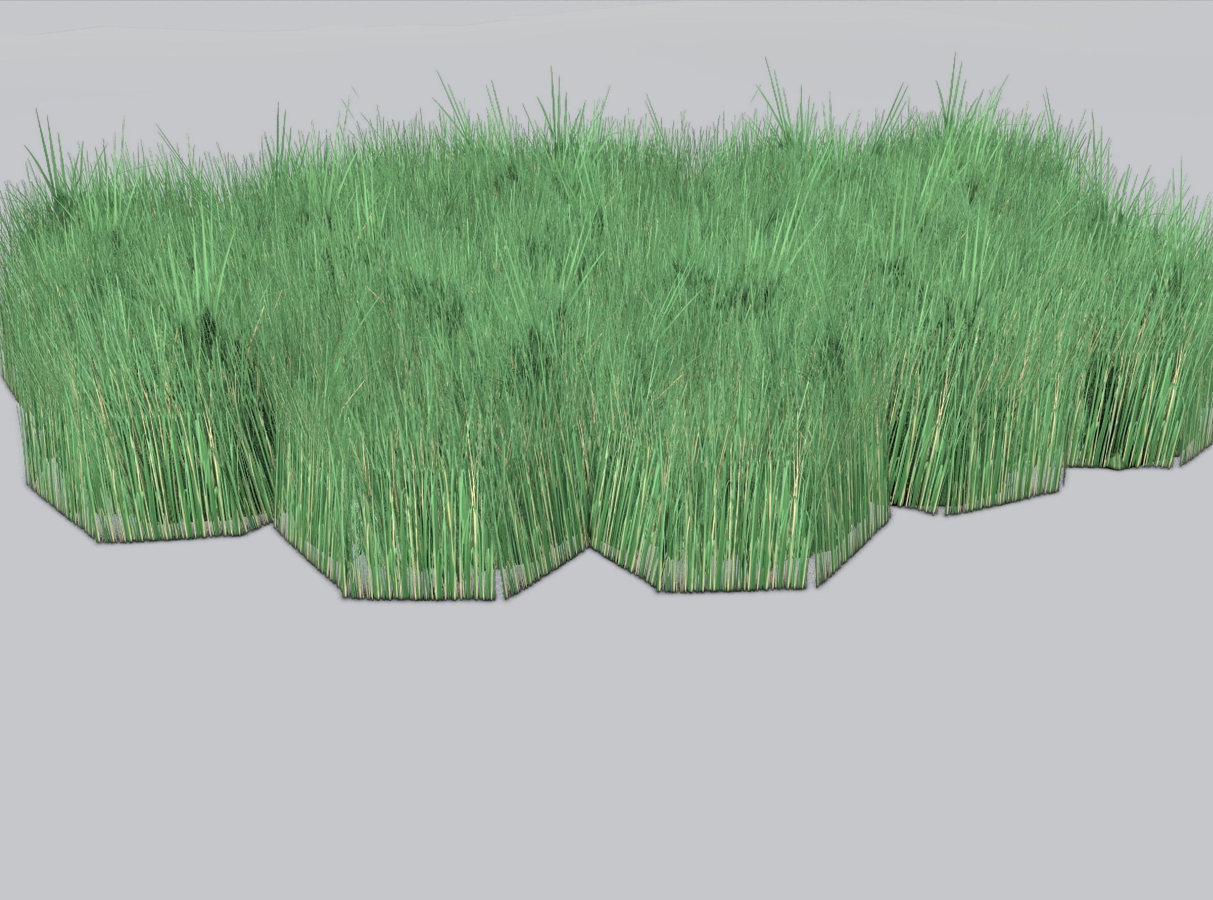 Reeds - Object 62 Low-poly 3D model_37
