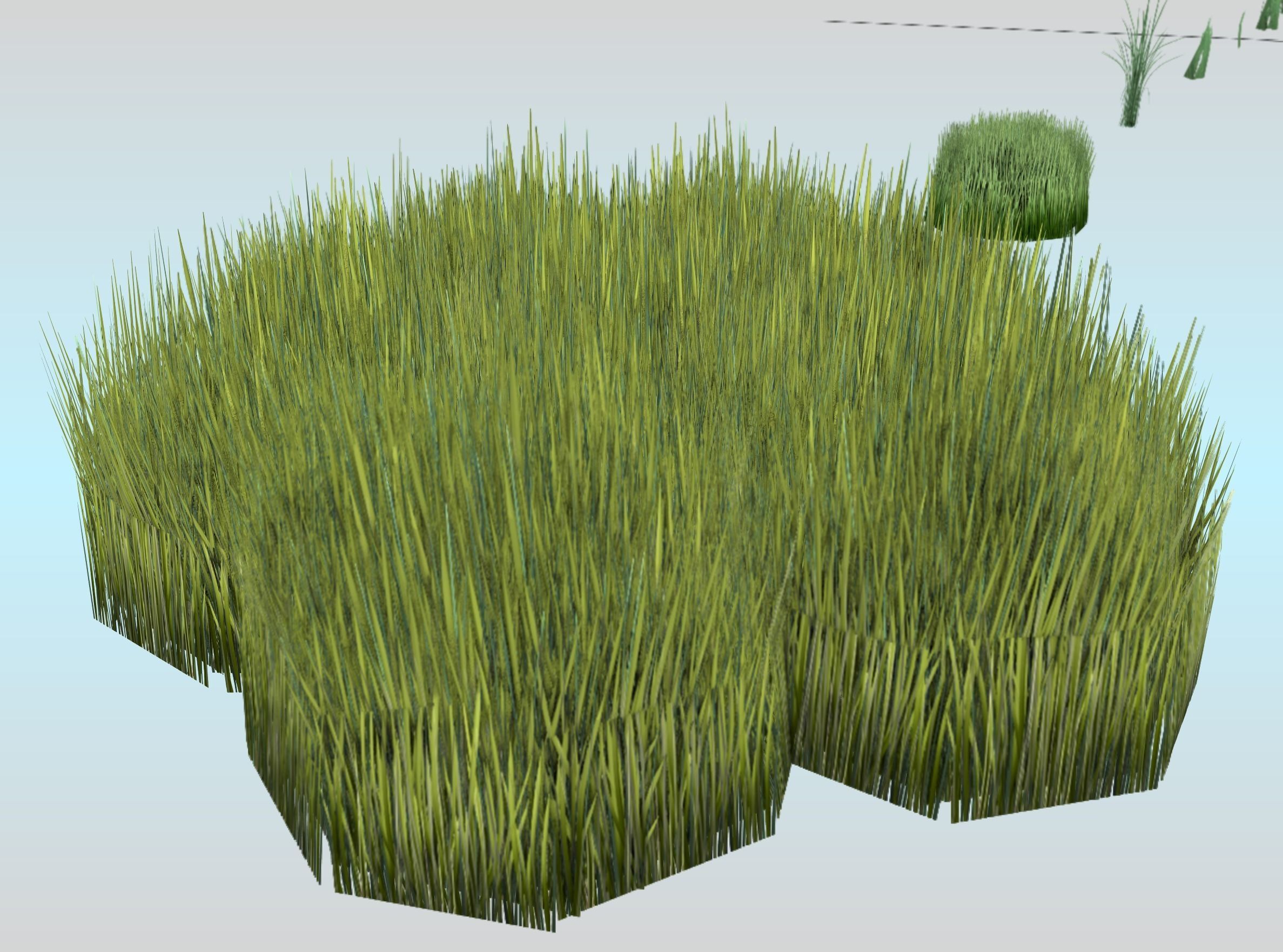 Reeds - Object 63 Low-poly 3D model_28