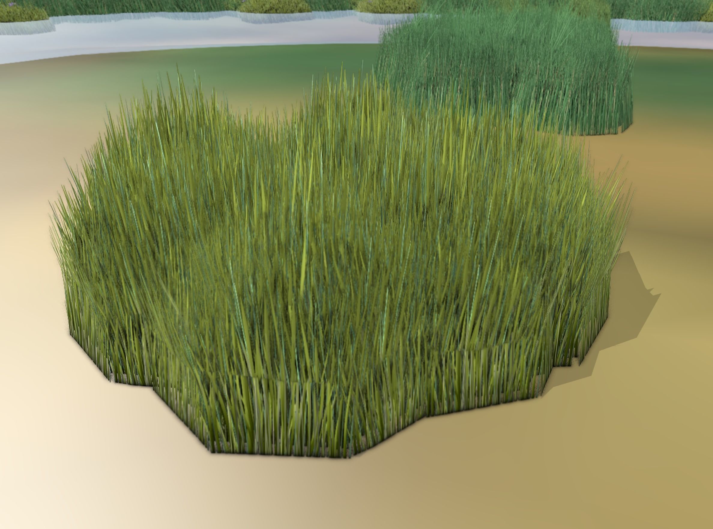 Reeds - Object 63 Low-poly 3D model_5