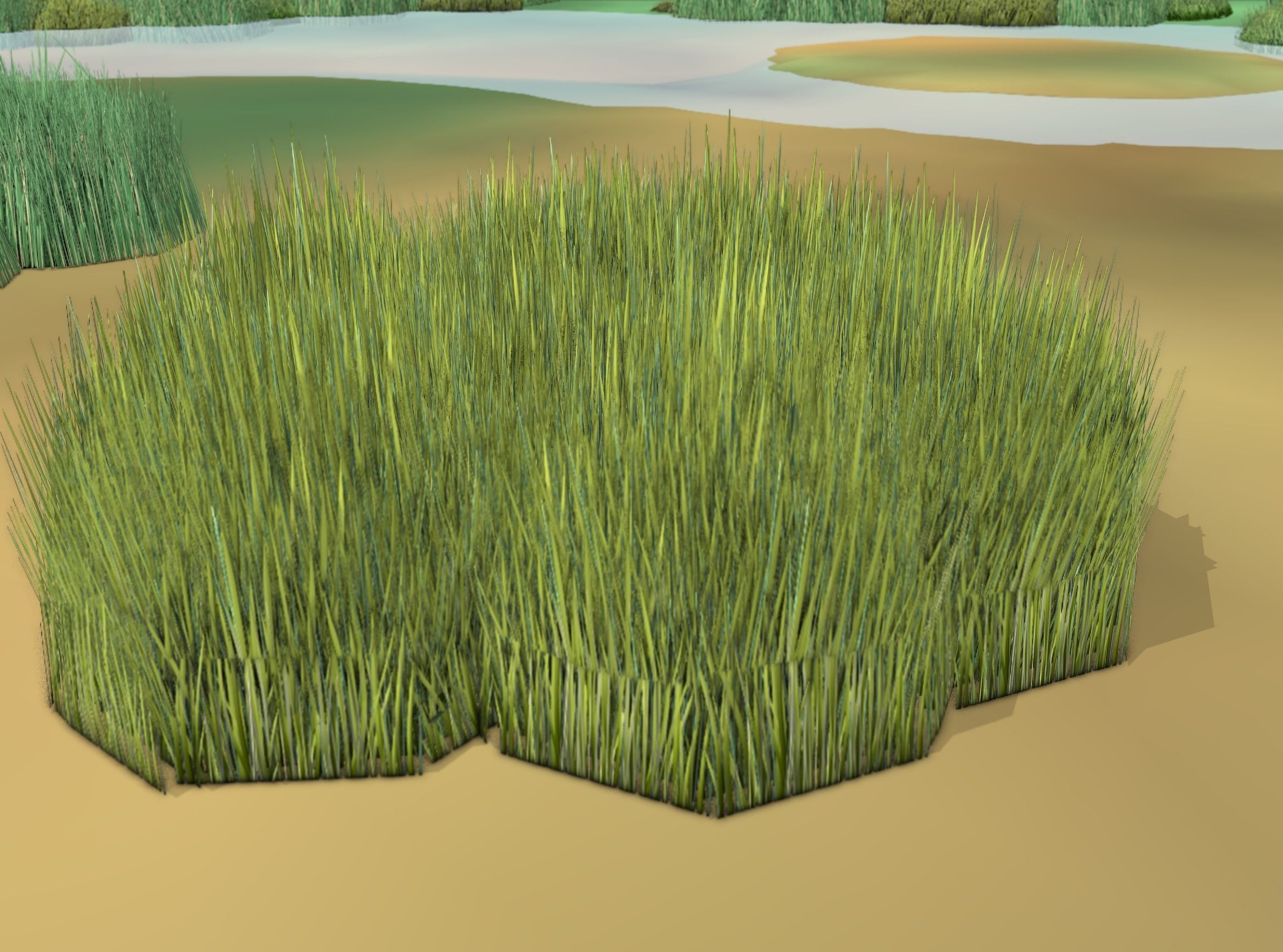Reeds - Object 63 Low-poly 3D model_41