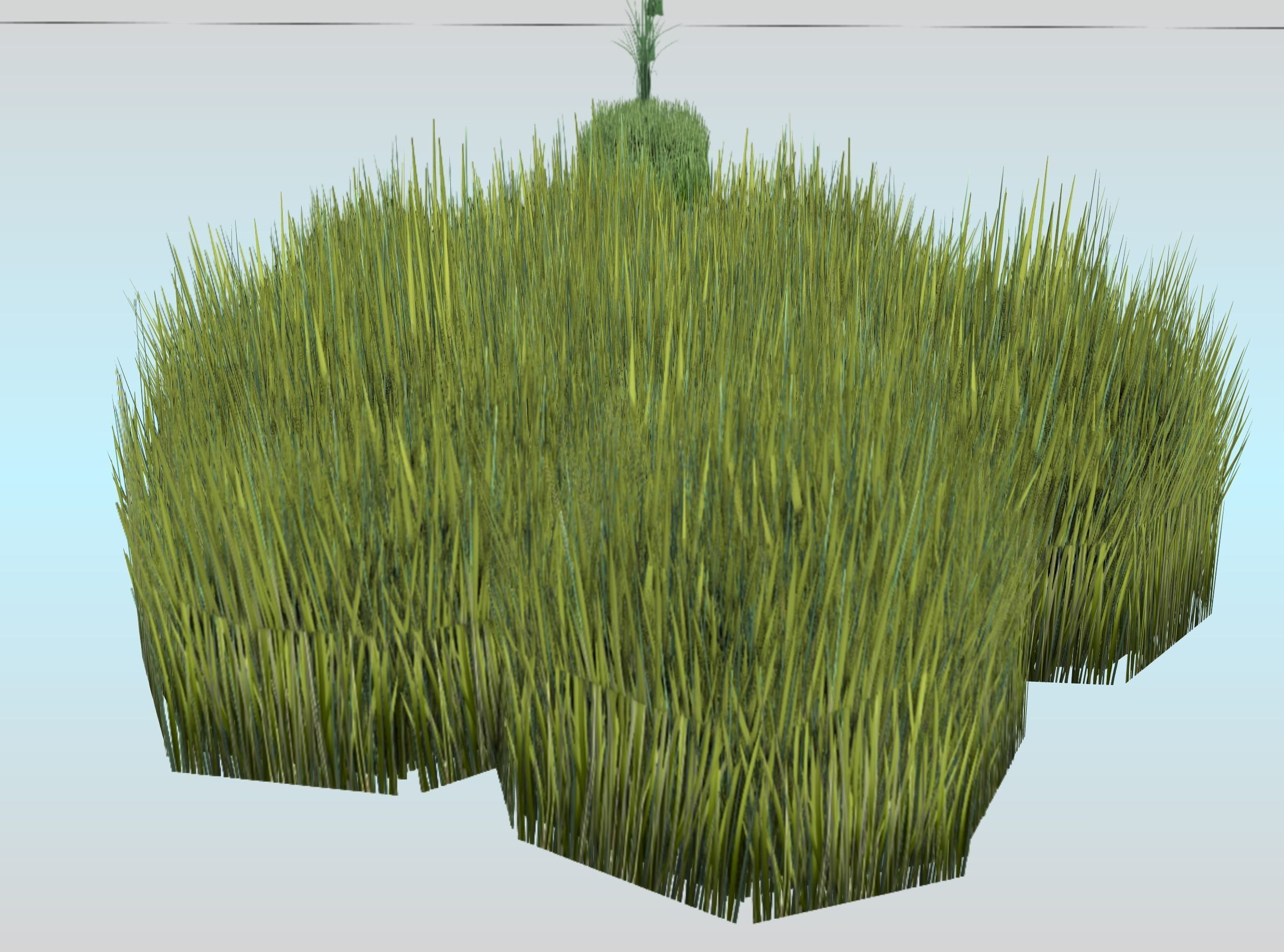 Reeds - Object 63 Low-poly 3D model_25