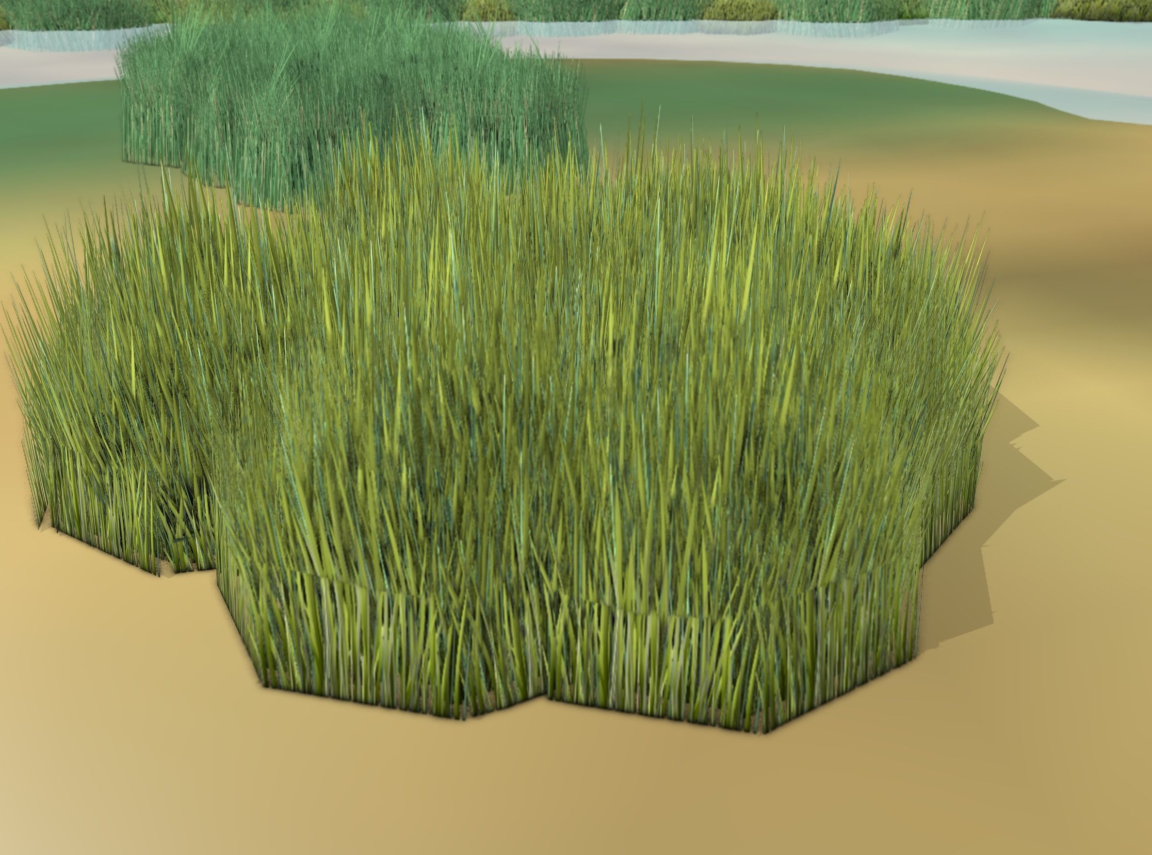 Reeds - Object 63 Low-poly 3D model_46
