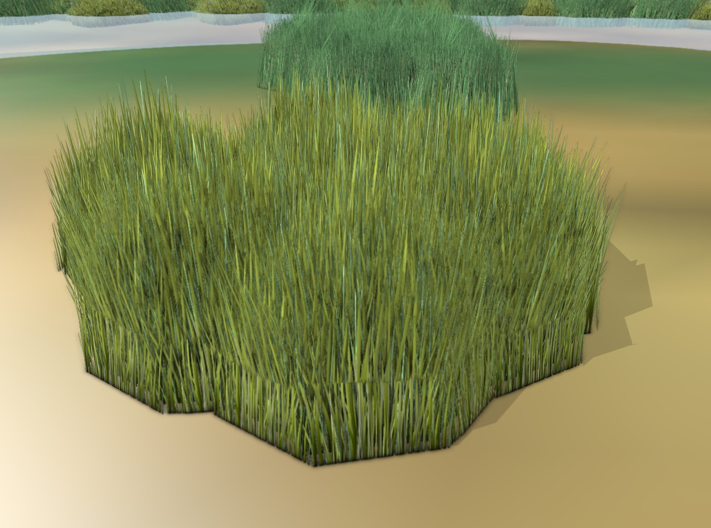 Reeds - Object 63 Low-poly 3D model_49