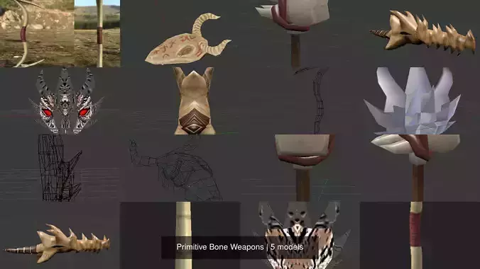 Primitive Bone Weapons