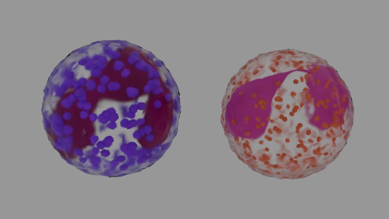 Bloodstream ball 3D model_2