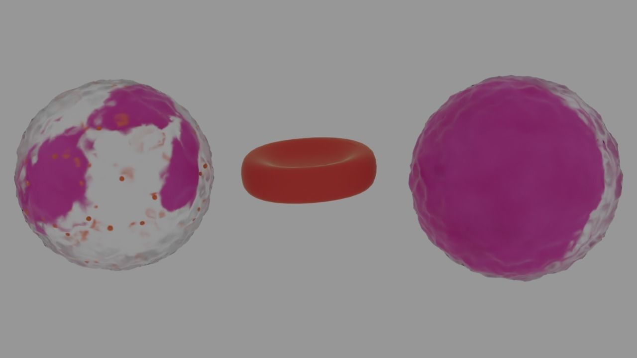 Bloodstream ball 3D model_4