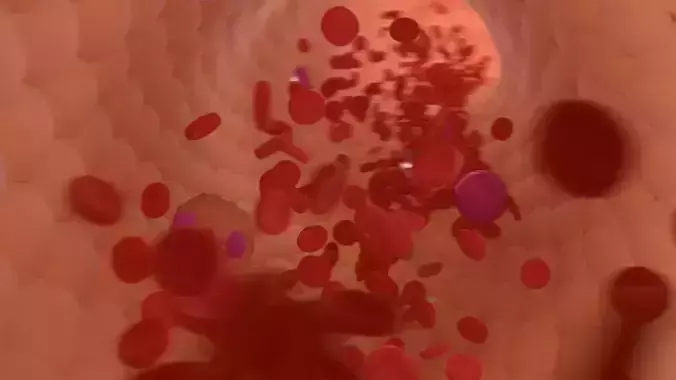 Bloodstream ball 3D model