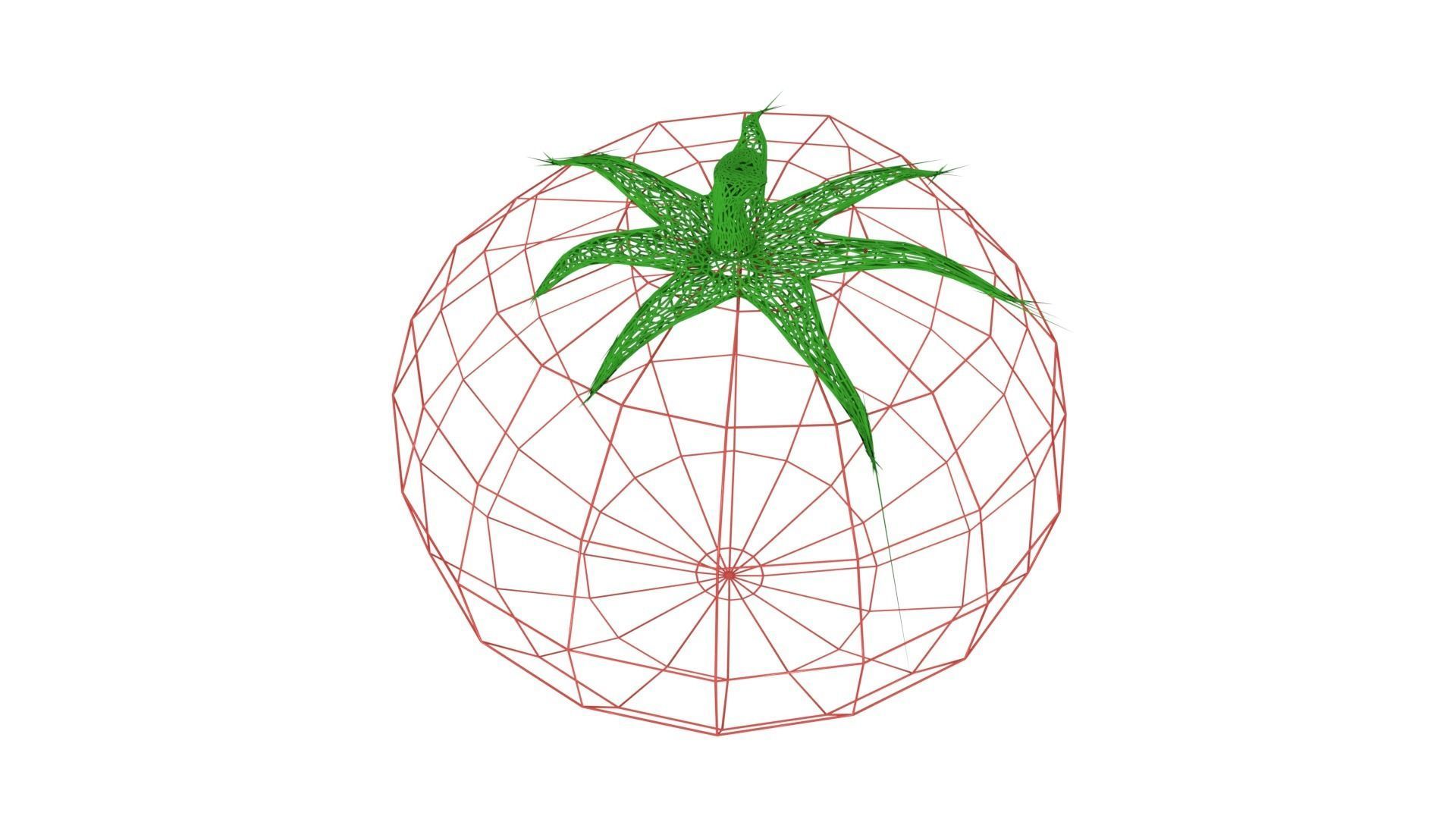 Tomato 3D model_7