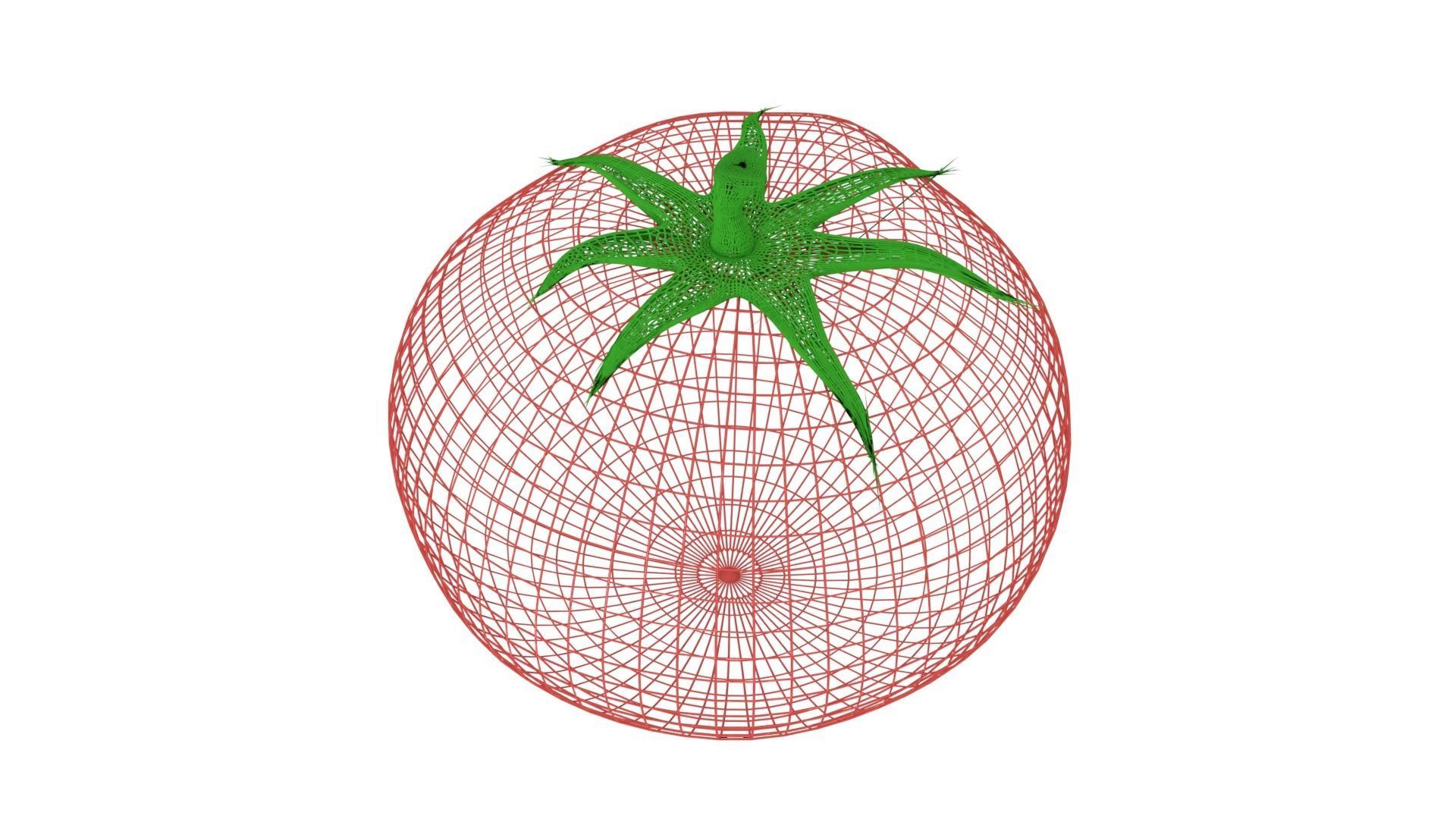 Tomato 3D model_6