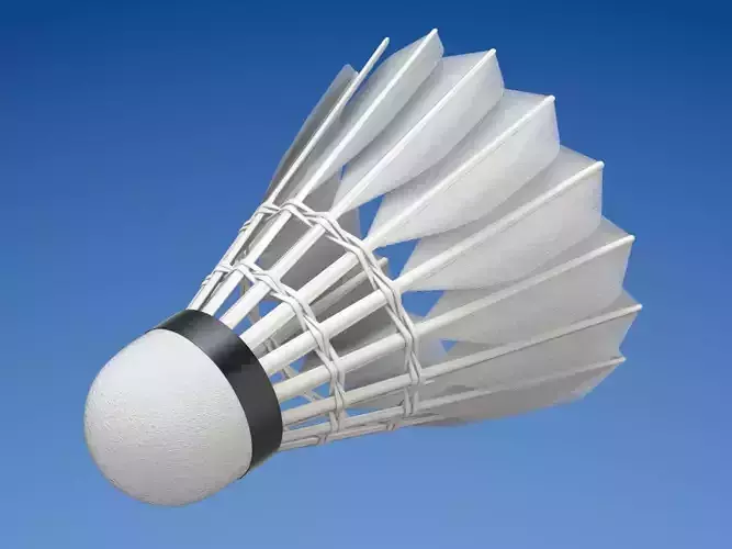 Shuttlecock badminton 3D model