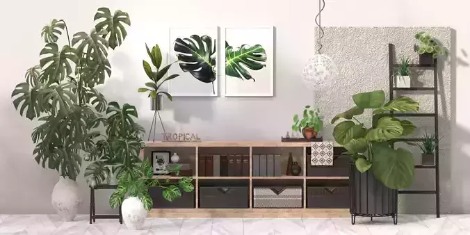 Tropical Indoor plant collection 3D model