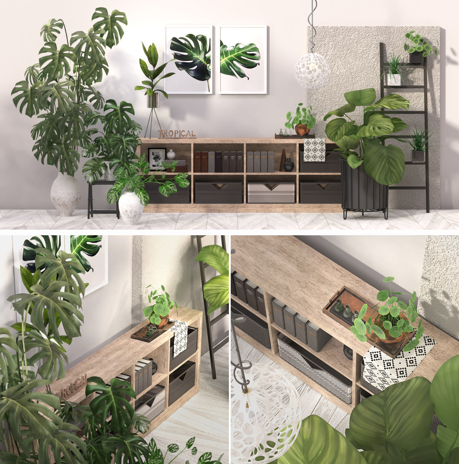 Tropical Indoor plant collection 3D model_4