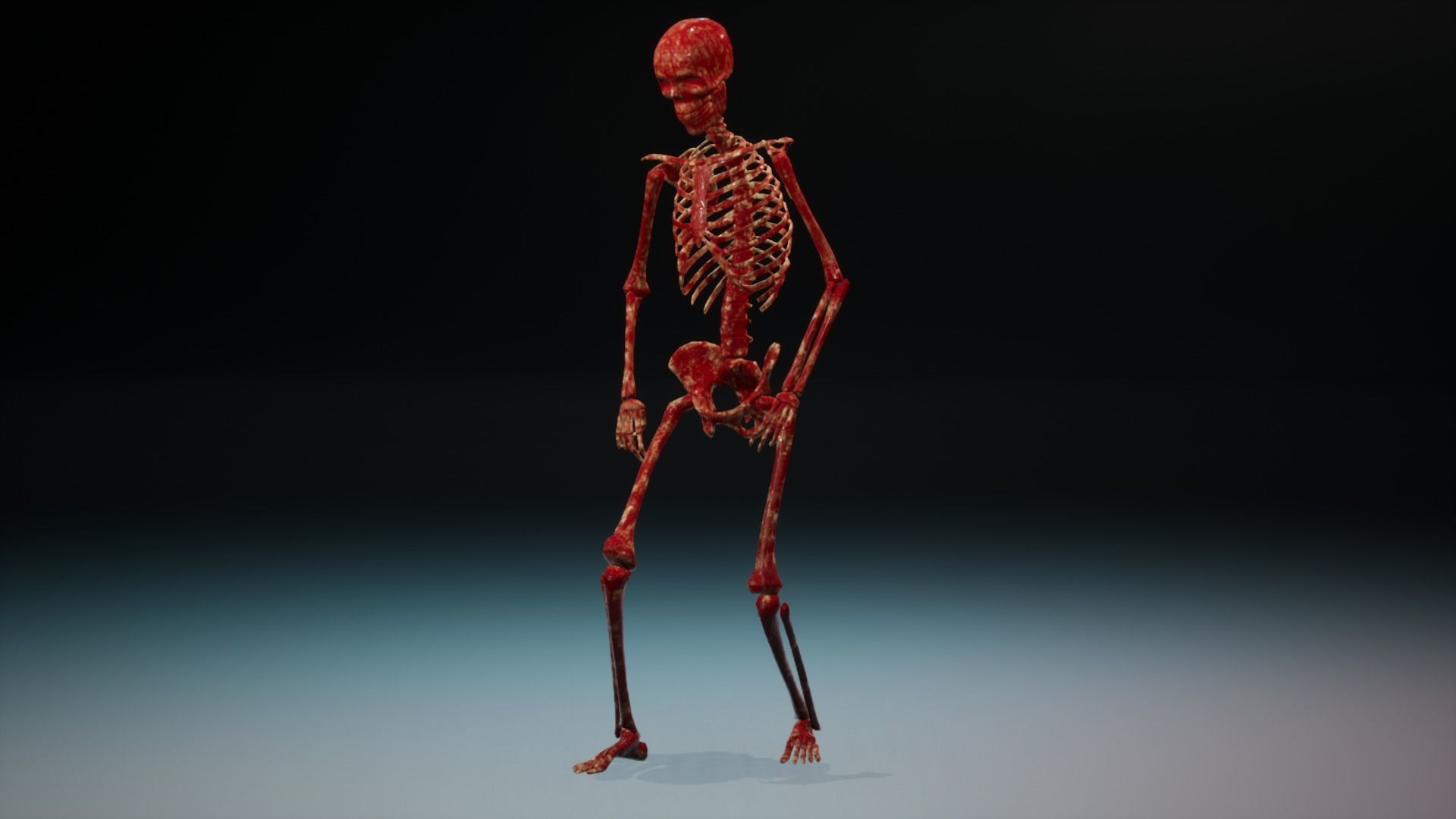 Skeleton low poly and high poly 3D model Low-poly 3D model_17