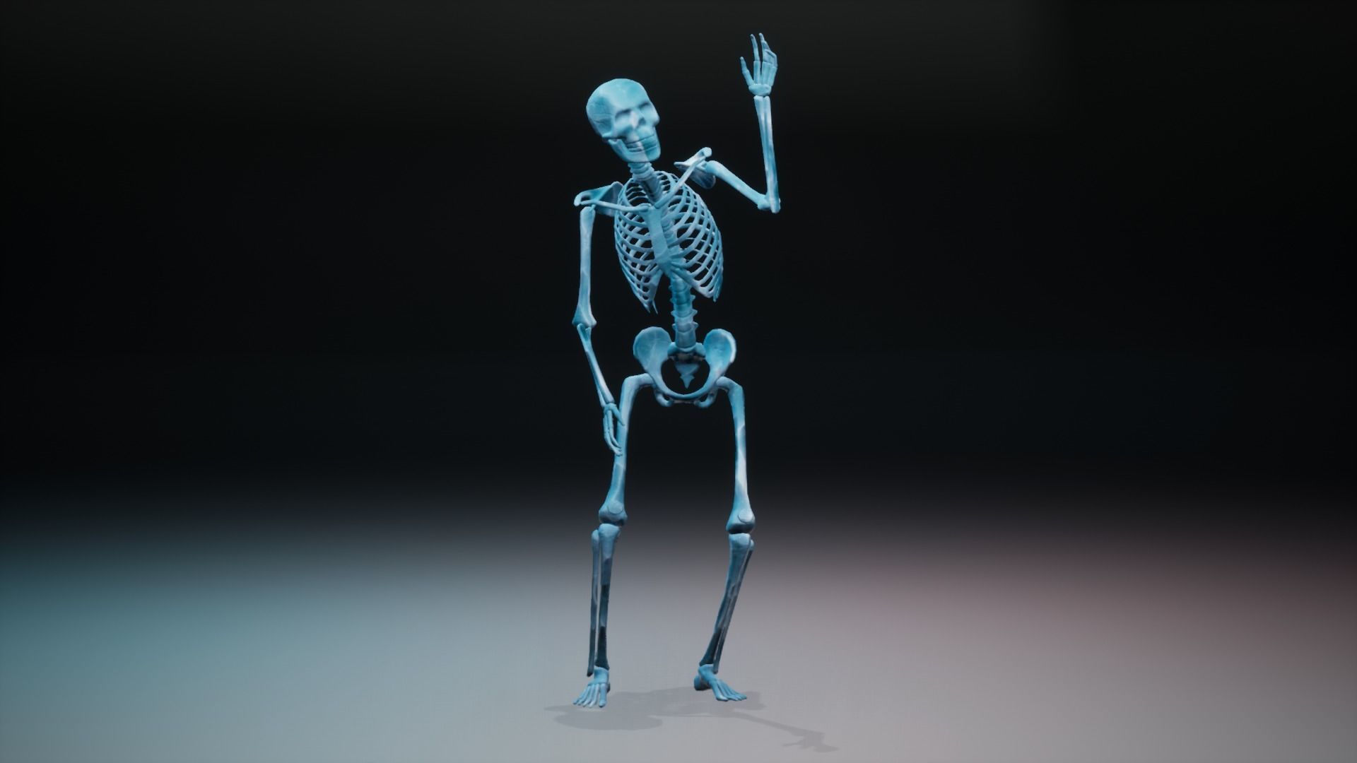Skeleton low poly and high poly 3D model Low-poly 3D model_18