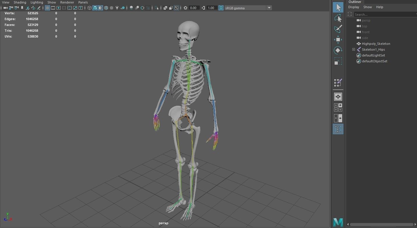 Skeleton low poly and high poly 3D model Low-poly 3D model_12