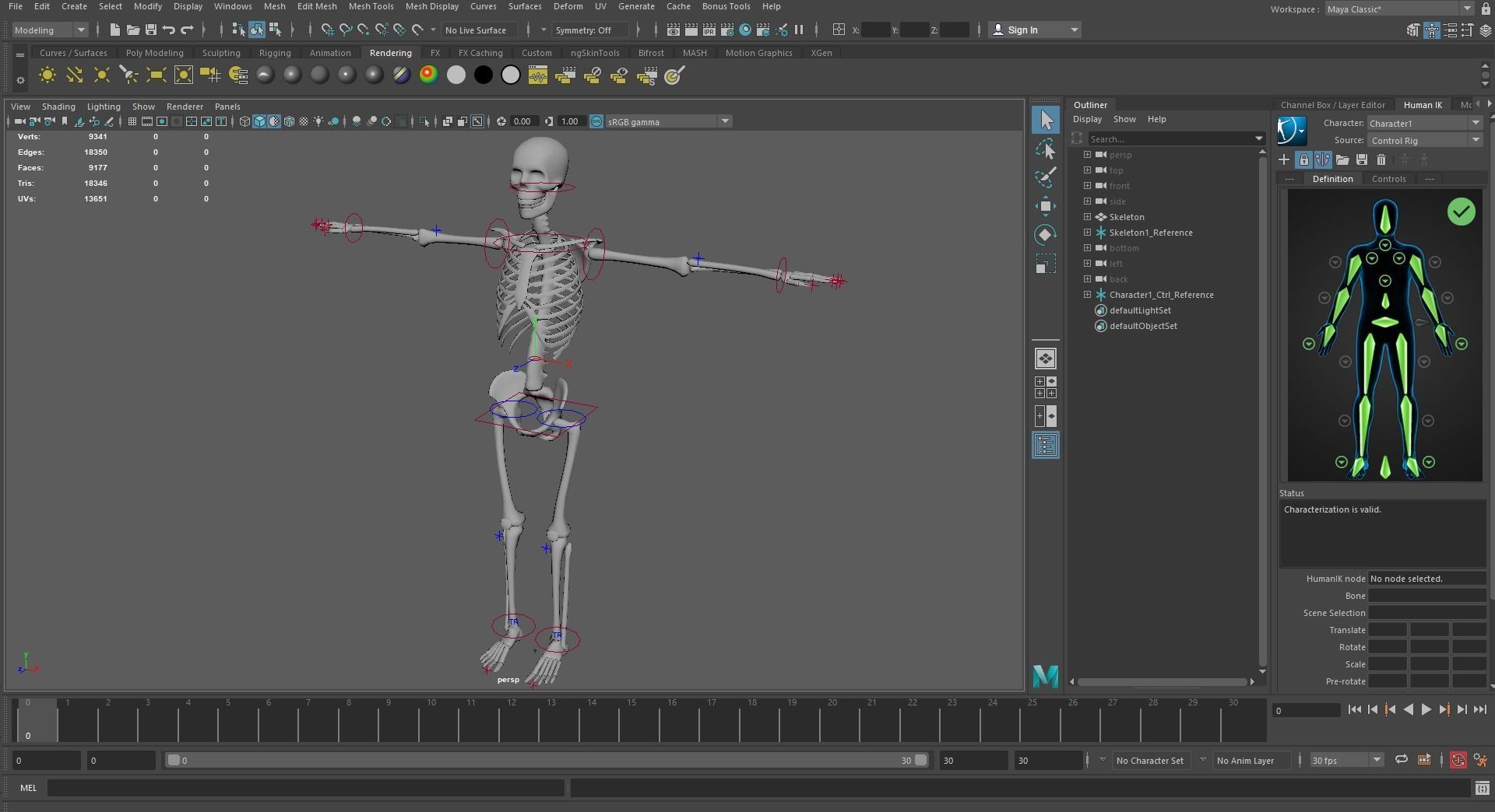 Skeleton low poly and high poly 3D model Low-poly 3D model_13
