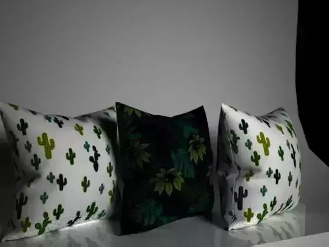 pillows three with cactus 3D model