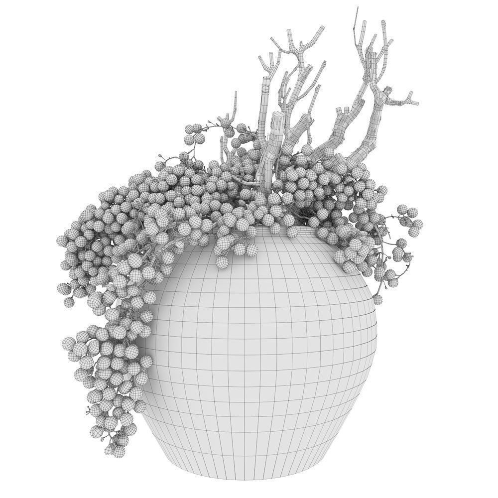 Decor dry grape in ceramic vase 3D model_2