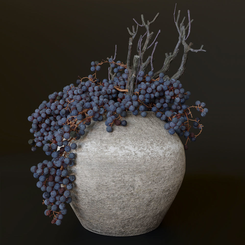 Decor dry grape in ceramic vase 3D model_1