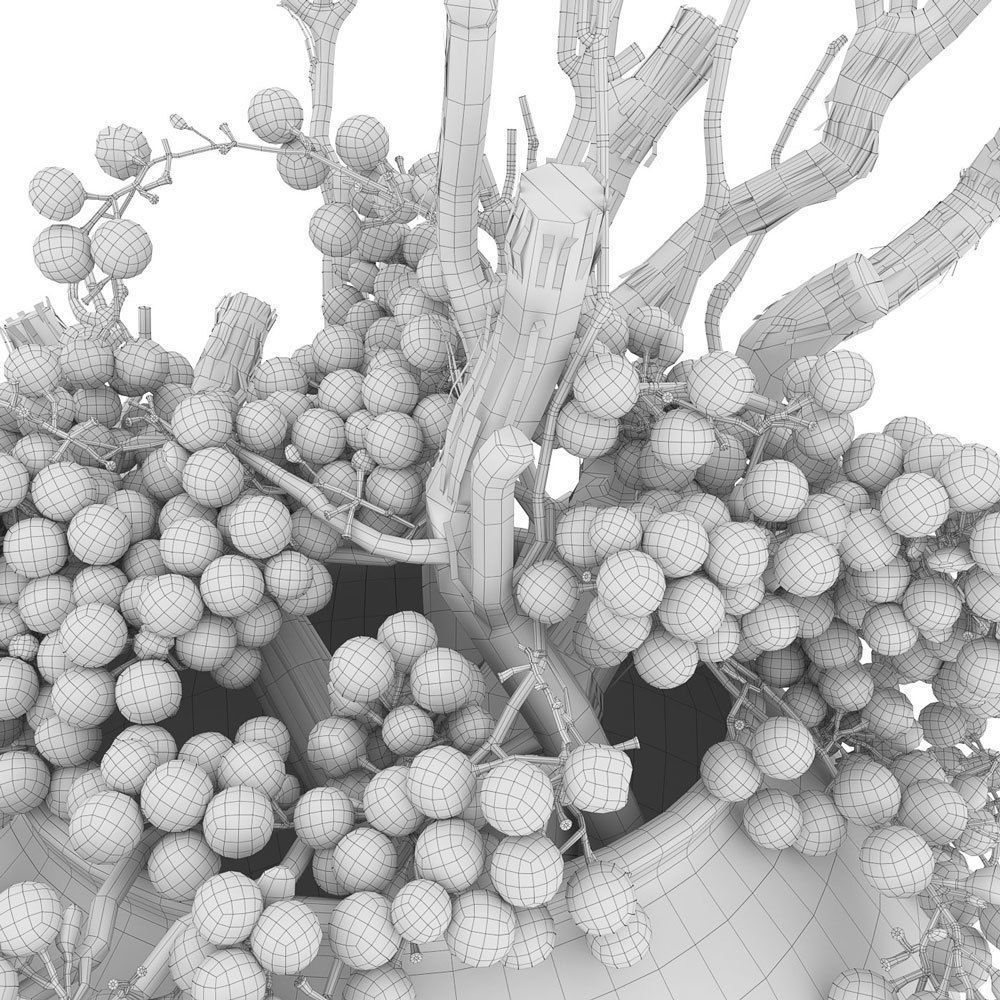 Decor dry grape in ceramic vase 3D model_4