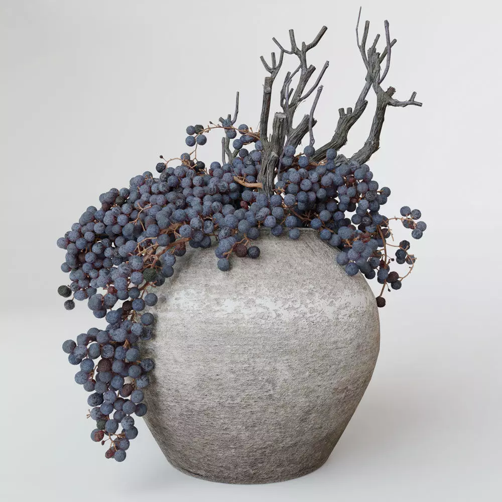 Decor dry grape in ceramic vase 3D model_0