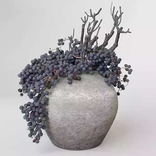 Decor dry grape in ceramic vase 3D model