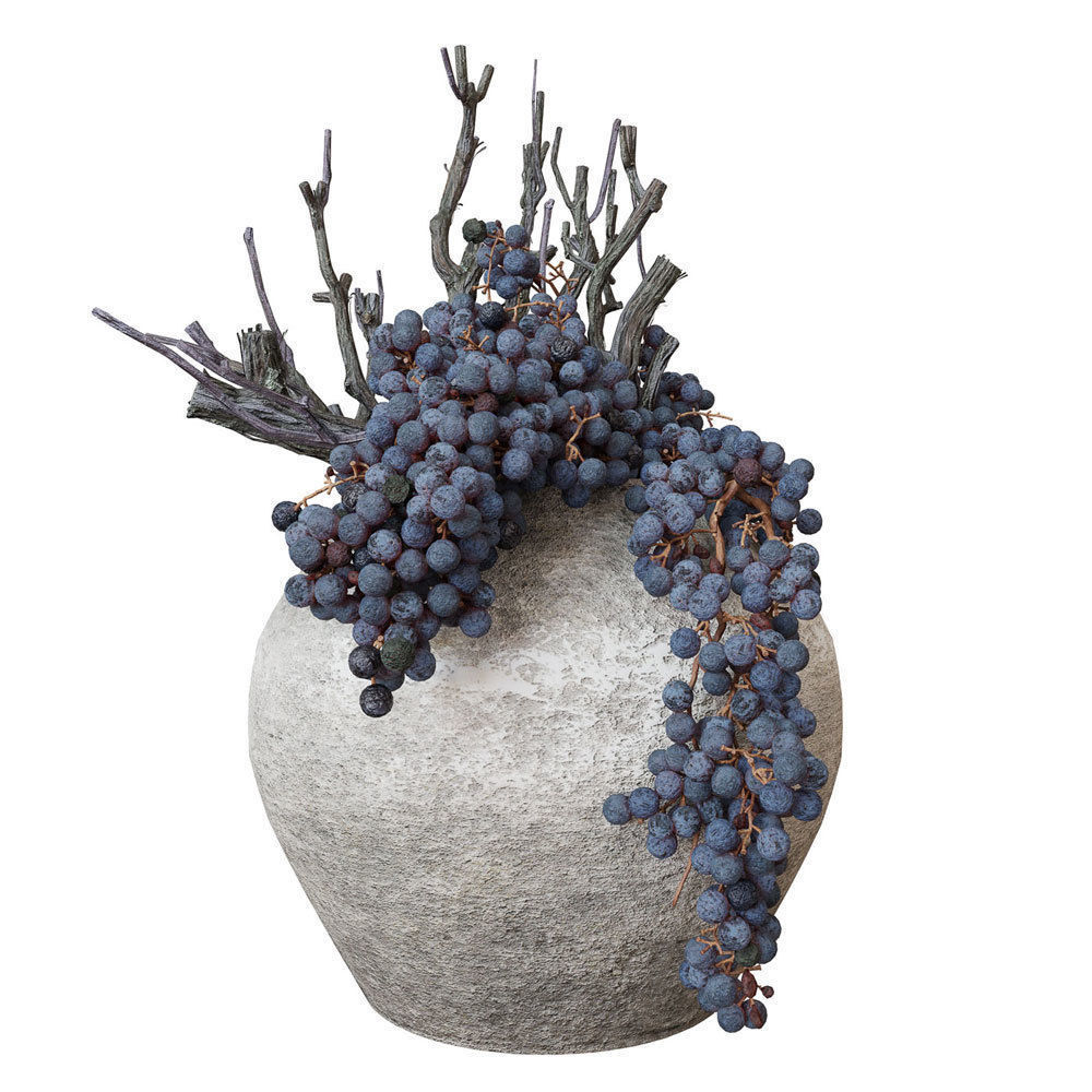 Decor dry grape in ceramic vase 3D model_8