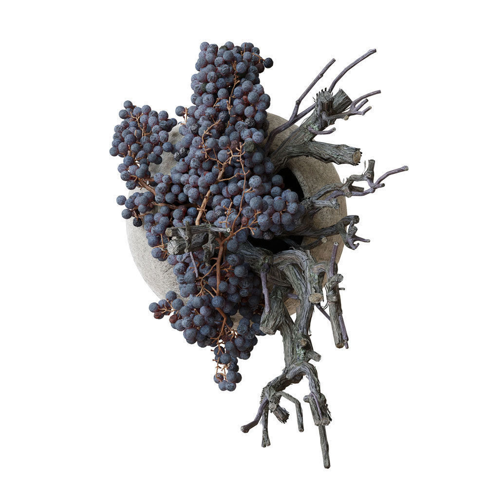 Decor dry grape in ceramic vase 3D model_5