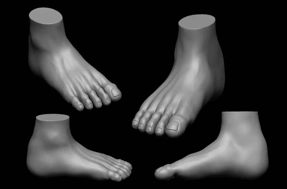 Free Foot highpoly Free 3D model