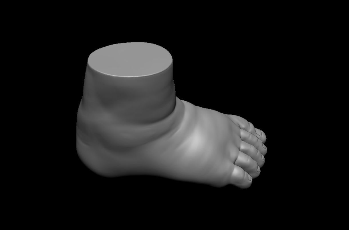 4 different feet  with high poly 3D model 3D model_4