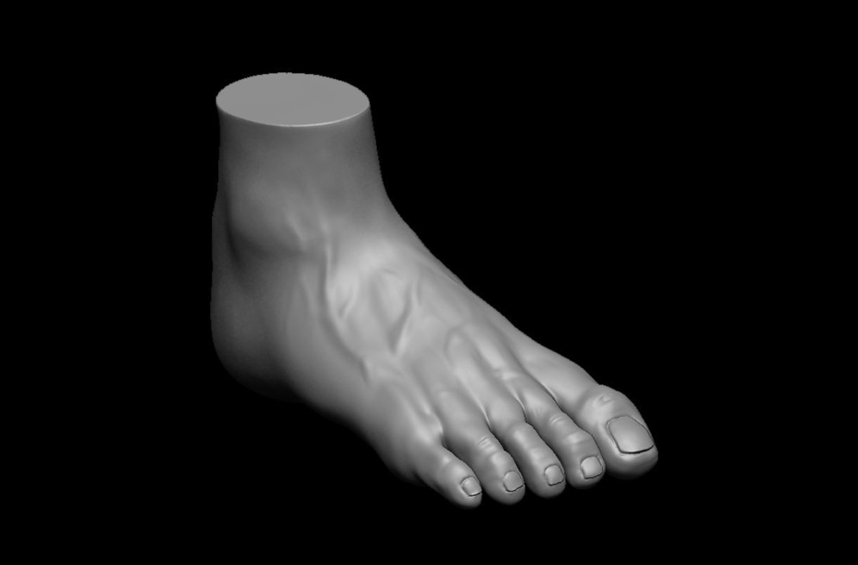 4 different feet  with high poly 3D model 3D model_10