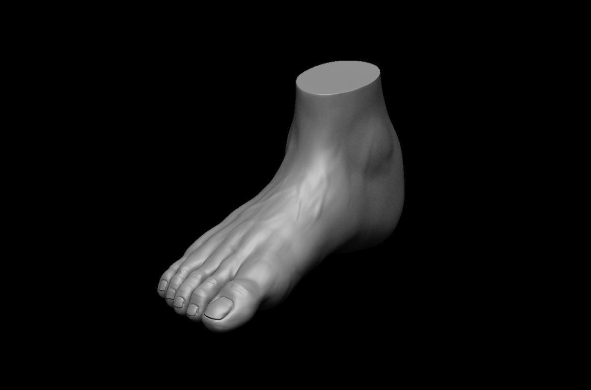 4 different feet  with high poly 3D model 3D model_7