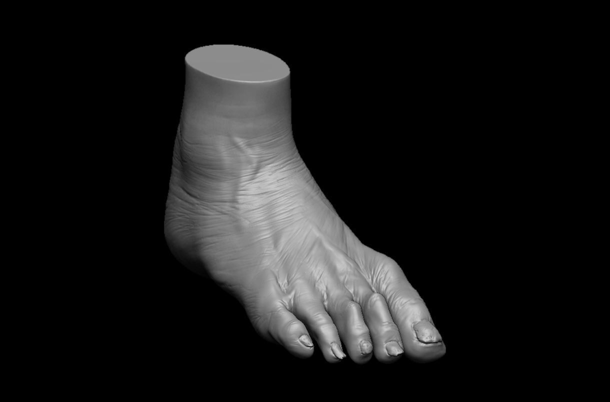 4 different feet  with high poly 3D model 3D model_20