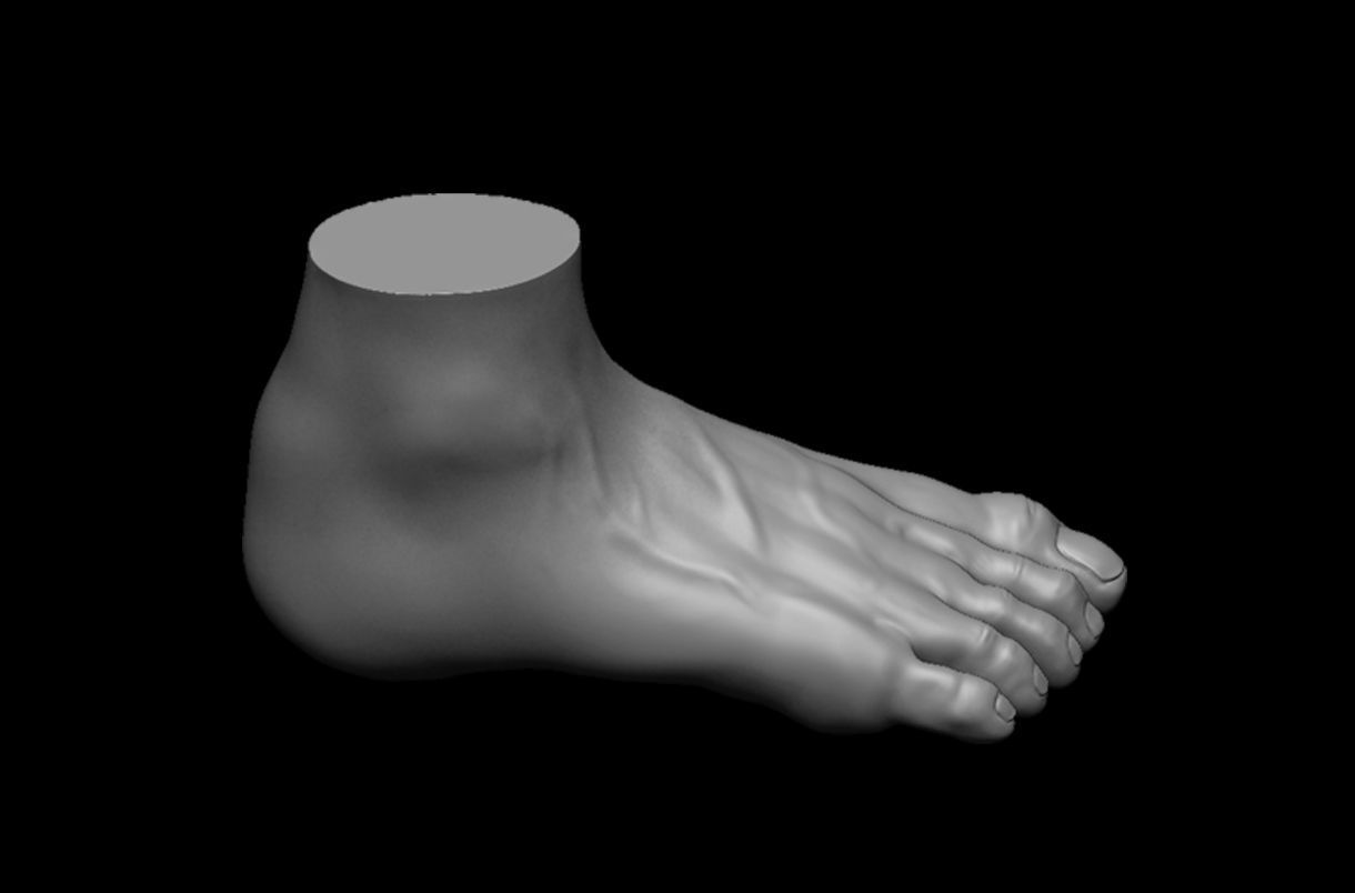 4 different feet  with high poly 3D model 3D model_9